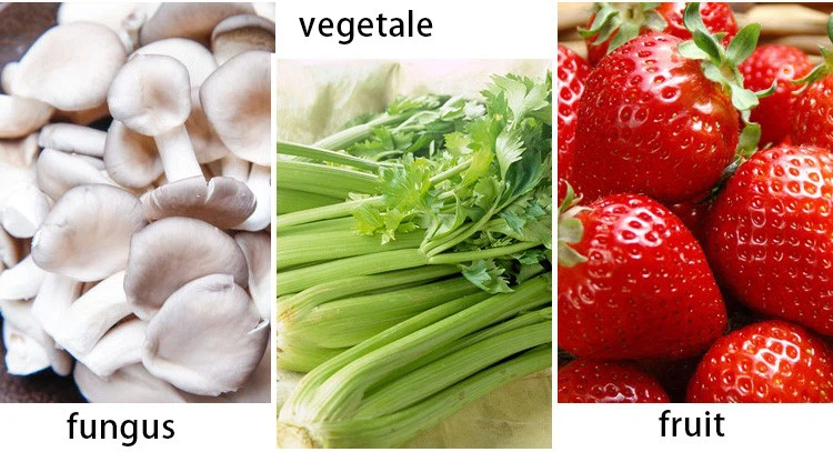 fruit and vegetable washer 1