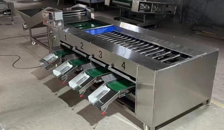 Potato Grading Machines Potato Grading Machines